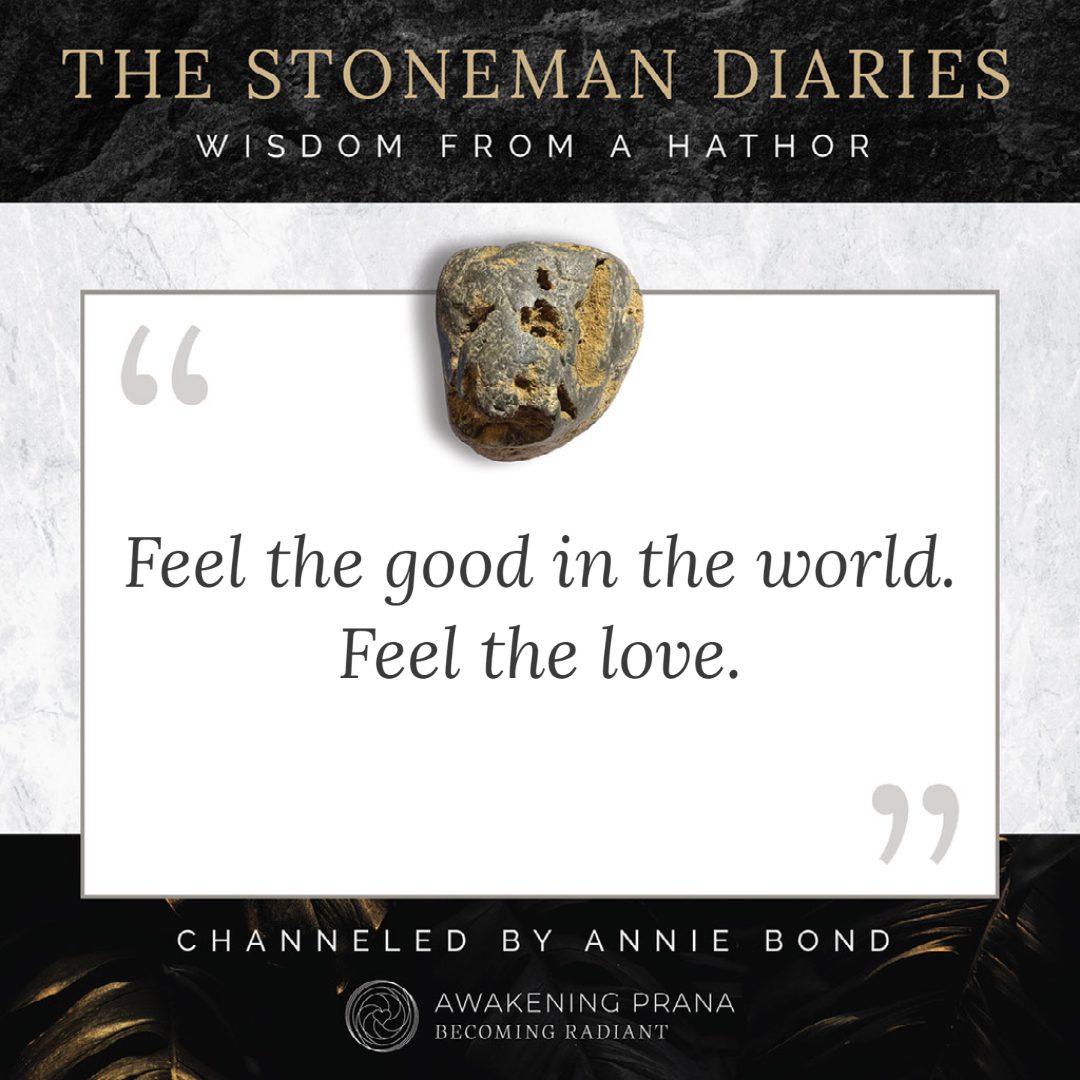 The Stoneman Diaries 10