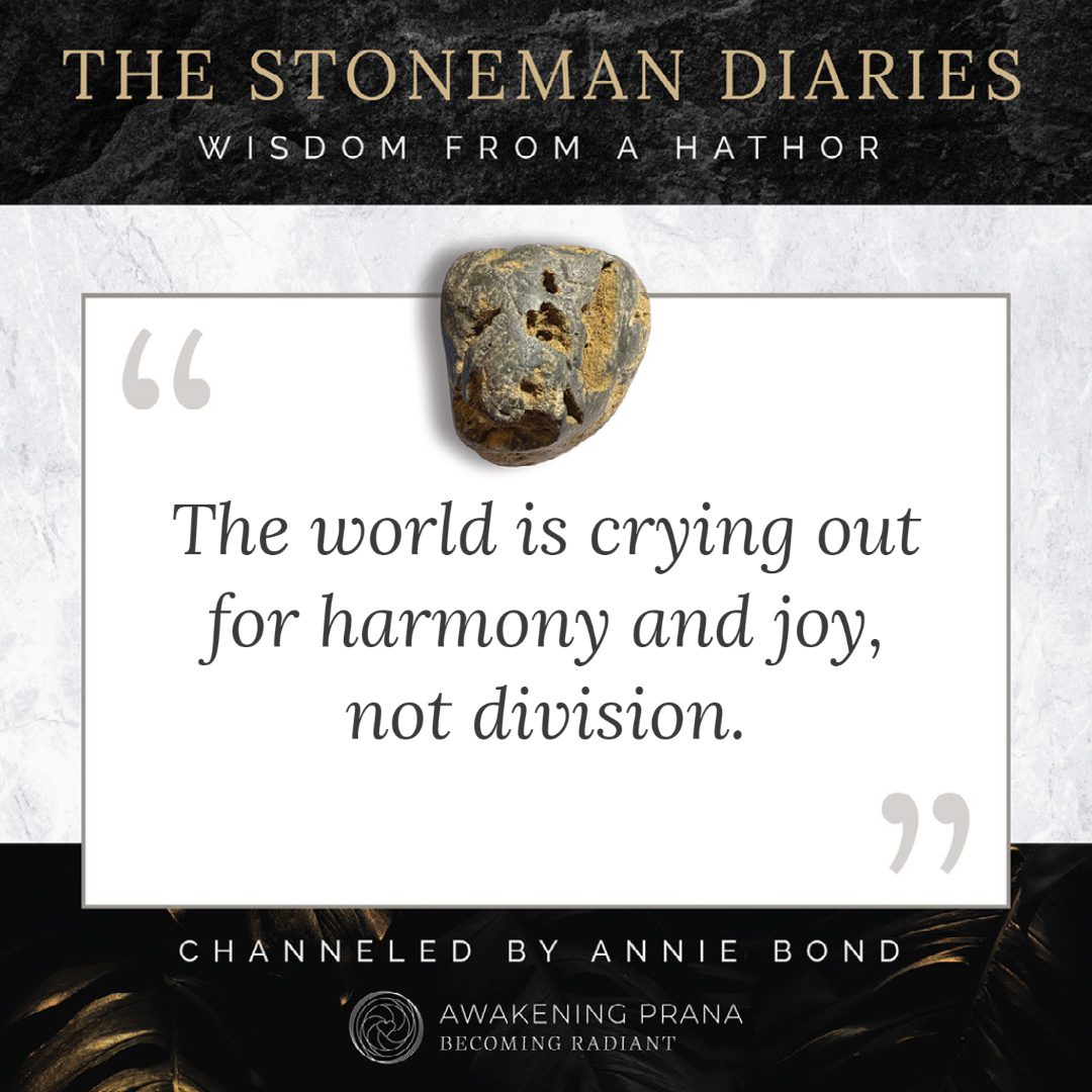 The Stoneman Diaries 9