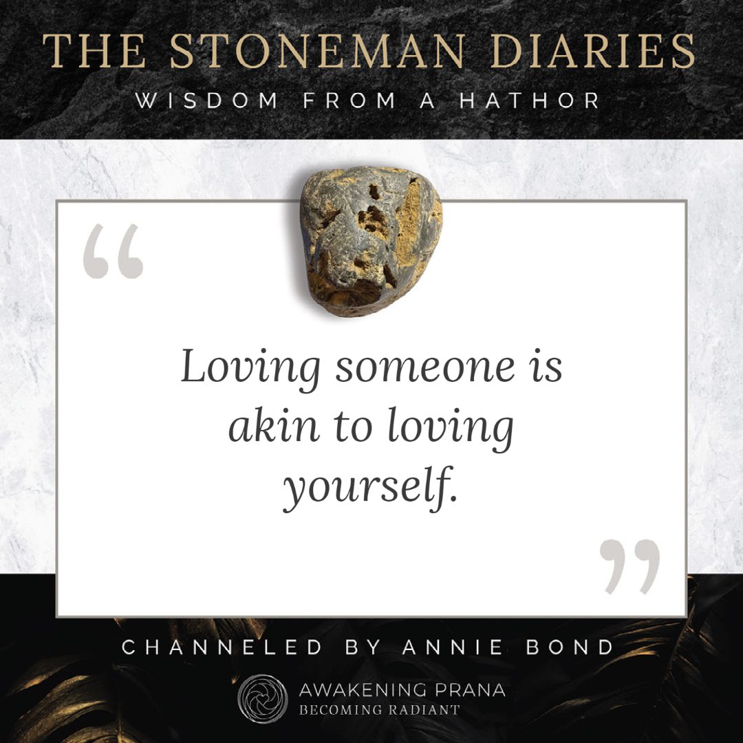 The Stoneman Diaries 4