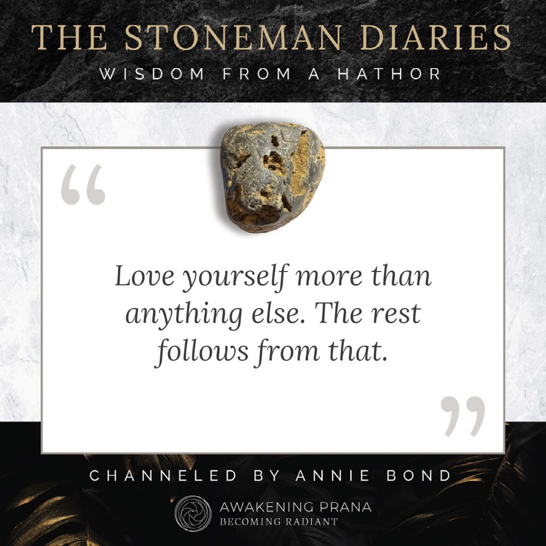 The Stoneman Diaries 5