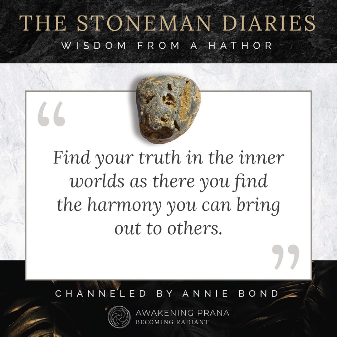 The Stoneman Diaries 14