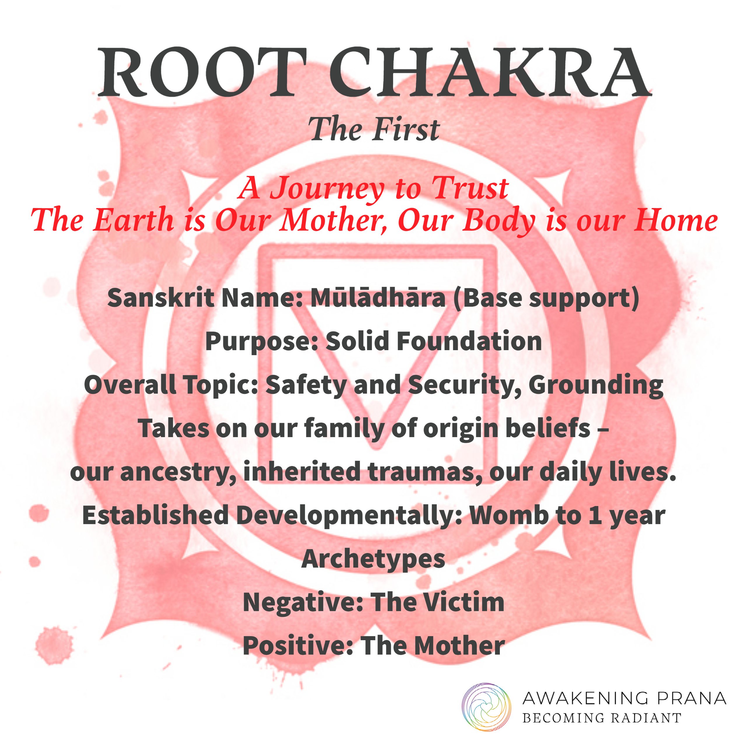 first chakra, root