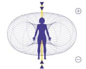 Torus