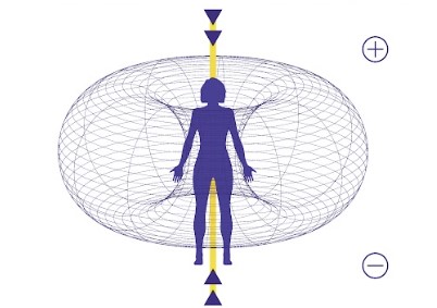 Torus
