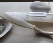 feather sage crystal
