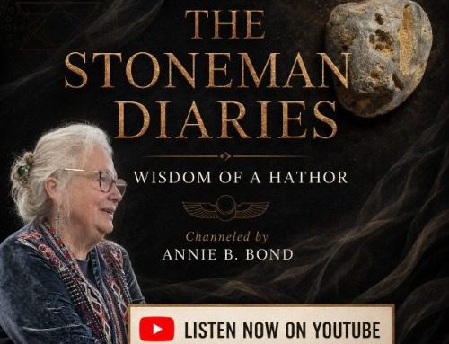 The Stoneman Diaries